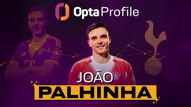Joao Palhinha - Tottenham's new defensive demon
