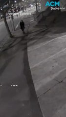 'Ghostface' masked vandal targets Melbourne synagogue in serial spray attacks