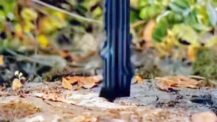 Jack sparo king of fun 😊