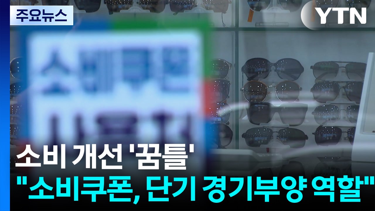 소비 개선 '꿈틀'..."소비쿠폰, 단기 경기부양 역할" / YTN