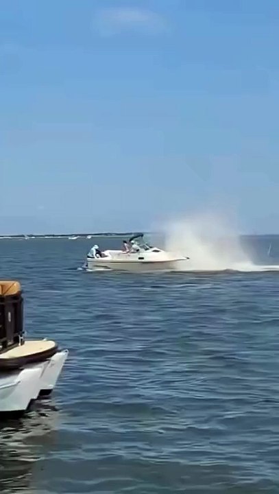 Ballena choca contra un barco en Nueva Jersey