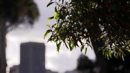 Carlos Alberto y Robin monitorean a Andrés