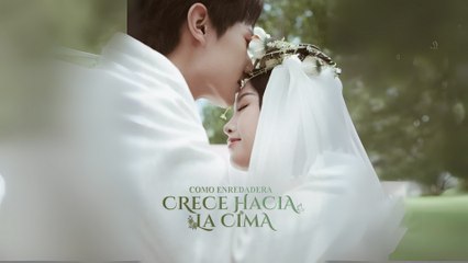 Como Enredadera, Crece hacia la Cima Completo En EspañolN