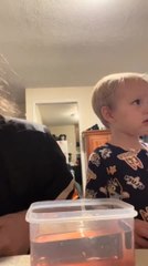 Parents Prank Their Toddler by Asking Him to Wash Cotton Candy in Water