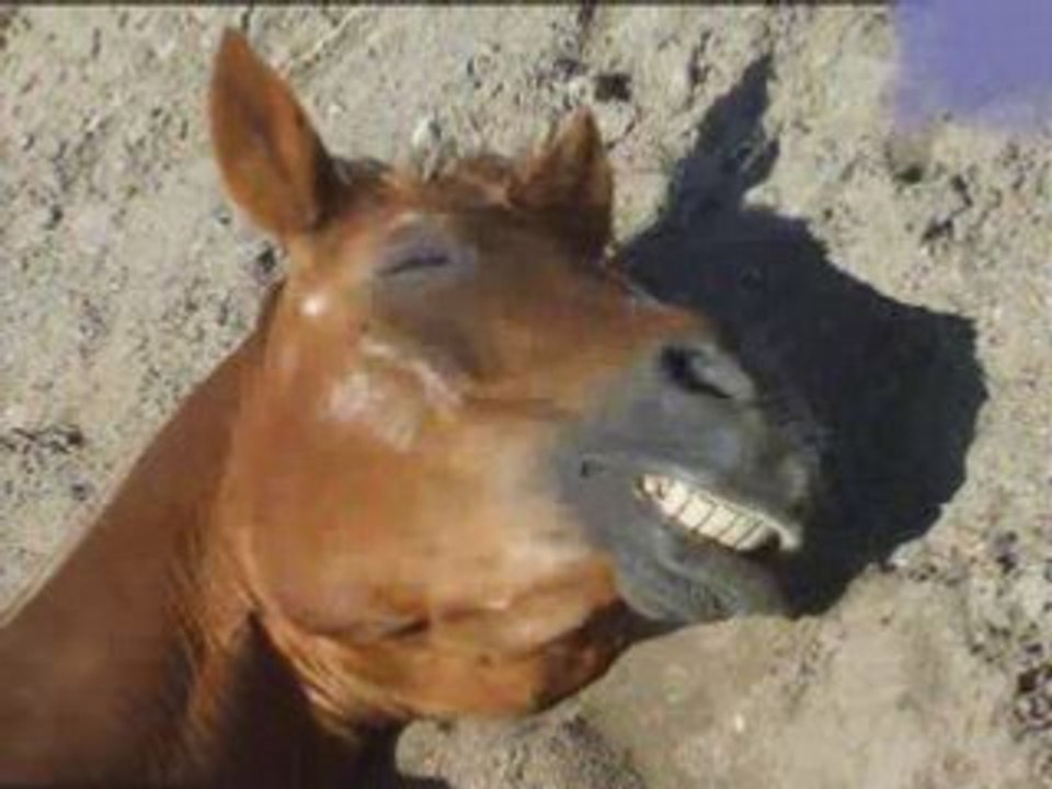 Par Un petit Matin !