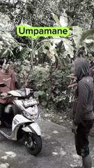 Kewanen karo tukang parkir... #komedi #hiburan #ngapak #fyp.