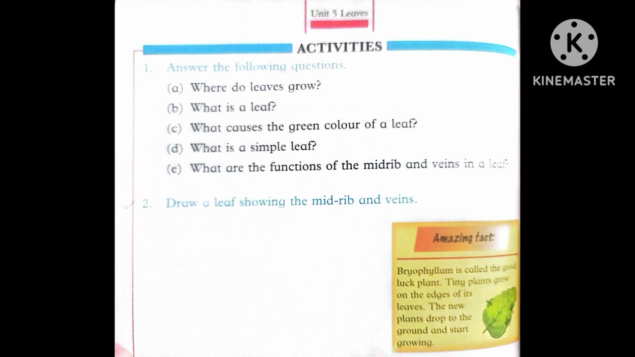 Oxford amazing science book 2 unit 5 leaves question answer solved exercise teacher's guide