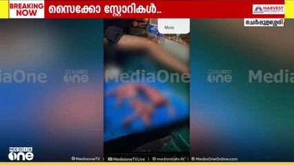 പാലക്കാട് പൂച്ചയെ കൊന്ന് ഇൻസ്റ്റാഗ്രാം സ്റ്റോറിയിട്ട് യുവാവ്