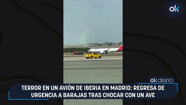 Terror en un avión de Iberia en Madrid: regresa de urgencia a Barajas tras chocar con un ave