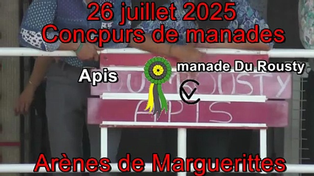 2025 07 26 Apis
