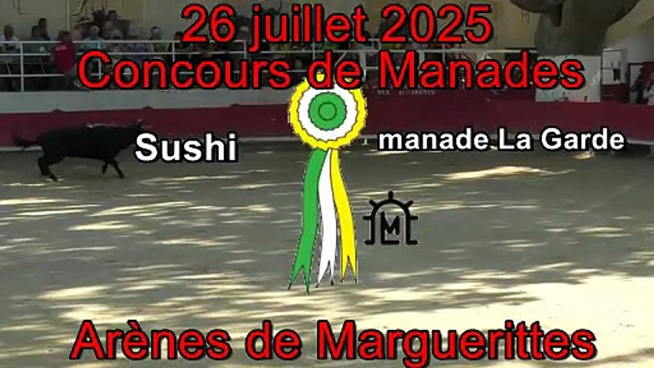 2025 07 29 Sushi
