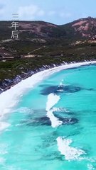 王晨鹏&翟一莹《晚色上春枝》完整版（下篇）🎶