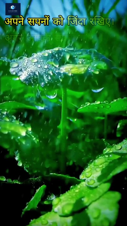 चिंगारी जलाना सीखो | Mehnat karo aage badho | Motivational Quotes Story | Motivation Video #shorts