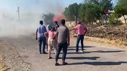 Çanakkale Ayvacık'ı yakan psikopatlar yakalanıp, serbest bırakıldı!