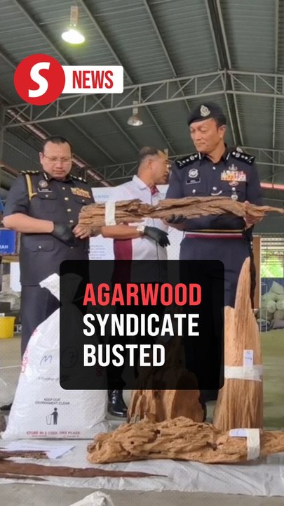 Agarwood trafficking syndicate busted in Melaka, RM106mil seized