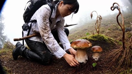Part 12 - A Girl Alone Surviving In The Forest  Old Plane Wreck Found on Floating Island