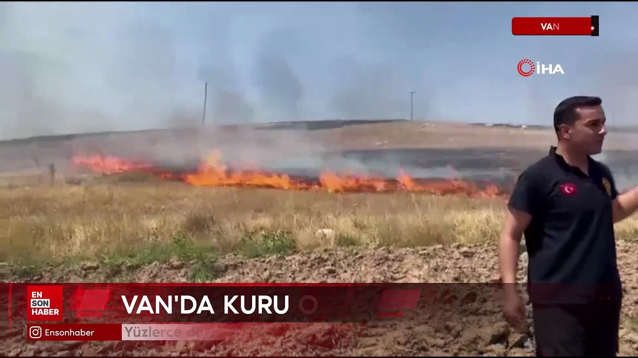 Van'da kuru ot yangınI