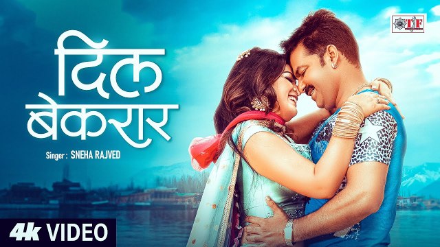 Pawan Ki Chandani | दिल बेक़रार | Sneha Rajved | #Pawan Singh, Nidhi Jha | Bhojpuri Movie Song #Video