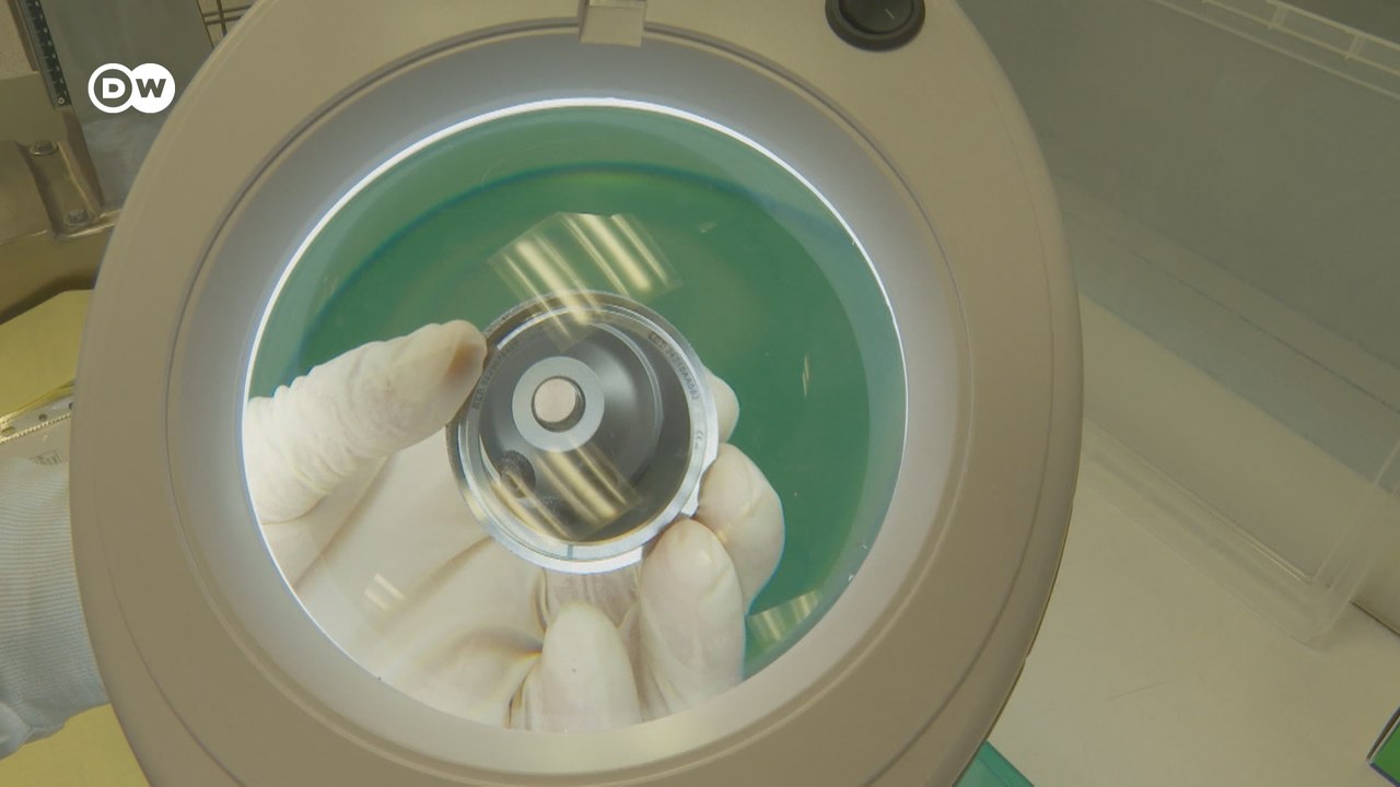 Deutsche Firmen: Zollvereinbarung USA-EU unfair