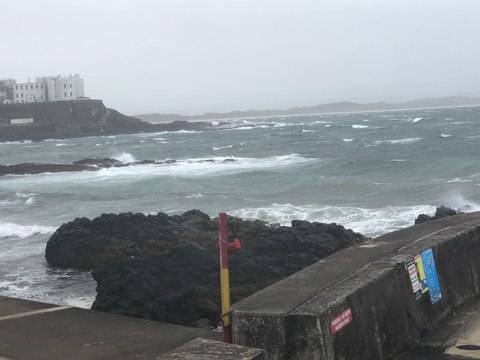 Storm Floris hits north coast but business owners, walkers, and dog owners carry on with their daily routines