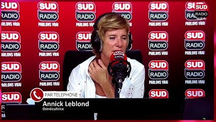 Les huîtres normandes