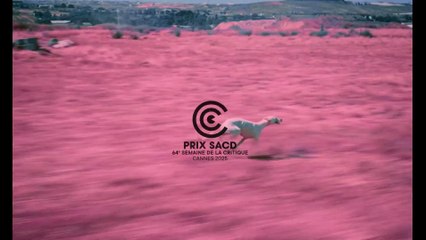 Ciudad sin sueño Bande-annonce VO STFR