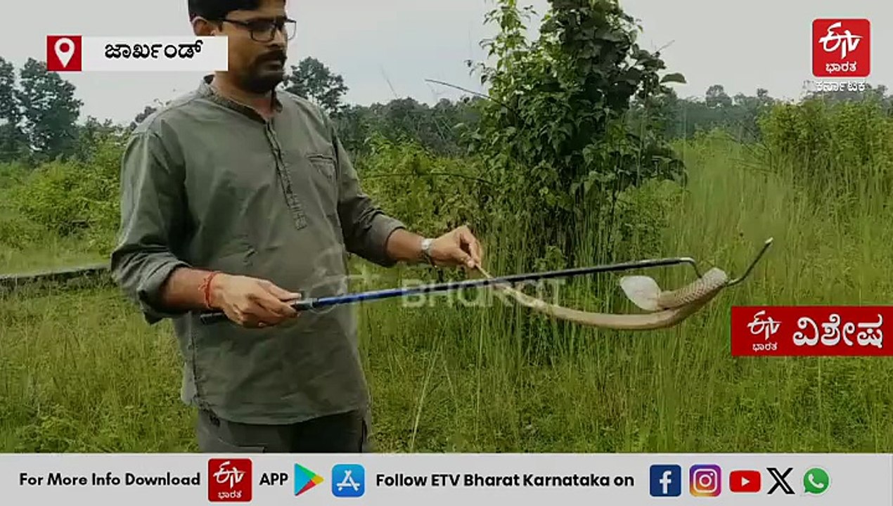 ಹಾವು ಕಚ್ಚಿದ ತಕ್ಷಣ ಏನ್ ಮಾಡ್ಬೇಕು? 7,000ಕ್ಕೂ ಹೆಚ್ಚು ಹಾವುಗಳ ರಕ್ಷಕ ನೀಡಿದ ಅಮೂಲ್ಯ ಸಲಹೆಗಳು ಇಲ್ಲಿವೆ