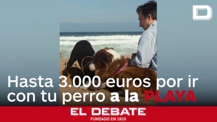 Multas de hasta 3.000 euros por llevar a tu perro a la playa sin informarte antes