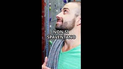 Gli Uomini Alfa_ Chi Sono