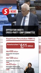 Opposition proposes cross-party committee to draw up effective 13MP strategies