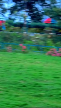 #lipstick #shadowsense #senegencedistributor #mysenelook #lipsensedistributor #beauty #lipstickaddict #lipsticklover #lipgloss #lipstik #senegenceinternational #kissproof #smudgeproof #skincare #lipmatte #waterproofmakeup #makeuptutorial