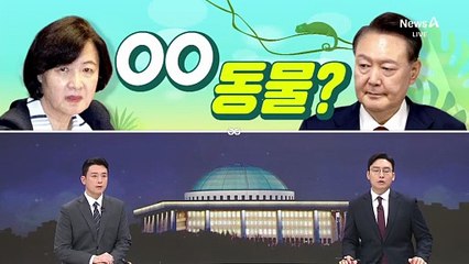 [여랑야랑]추미애 “尹, 변온 동물인가”