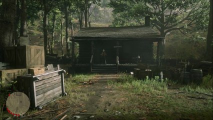 RDR 2: C3 # 31 - No Trespassing (Hermit Encounter)