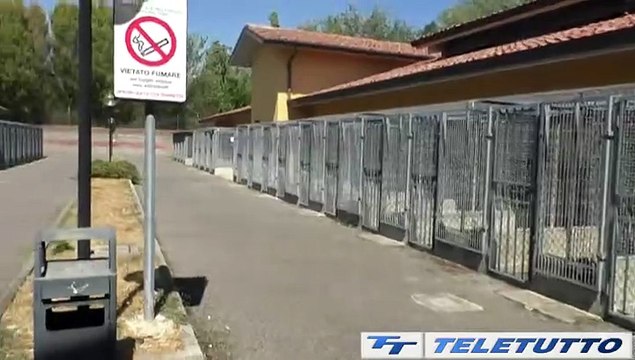 Video News - Animali abbandonati, 6300 interventi