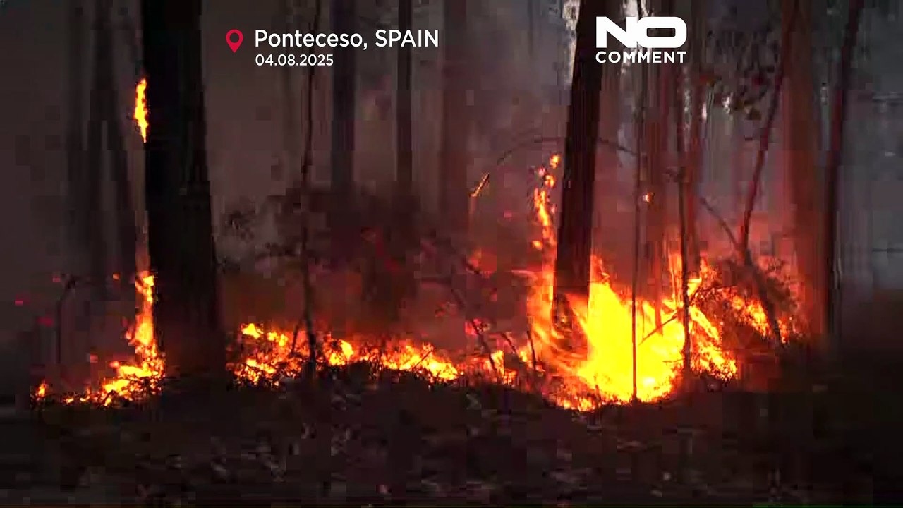 Brände im Nordwesten Spaniens zerstören Hunderte Hektar Wald