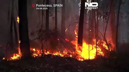 Incêndios no noroeste de Espanha destroem centenas de hectares de floresta