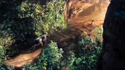 The Cup in the Desert: A Miracle Begins