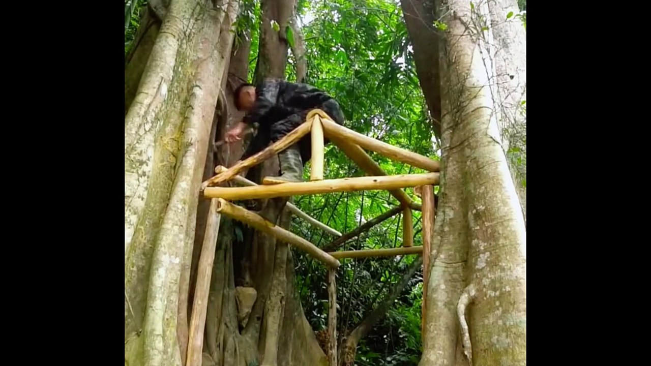 Making Tree House between two giant trees 😱