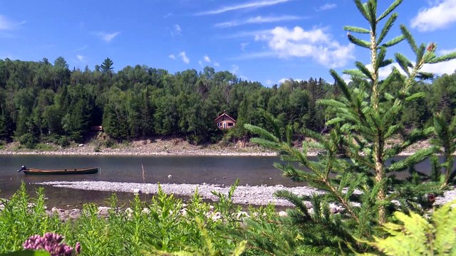 Rivière Bonaventure : protéger les berges de l’érosion