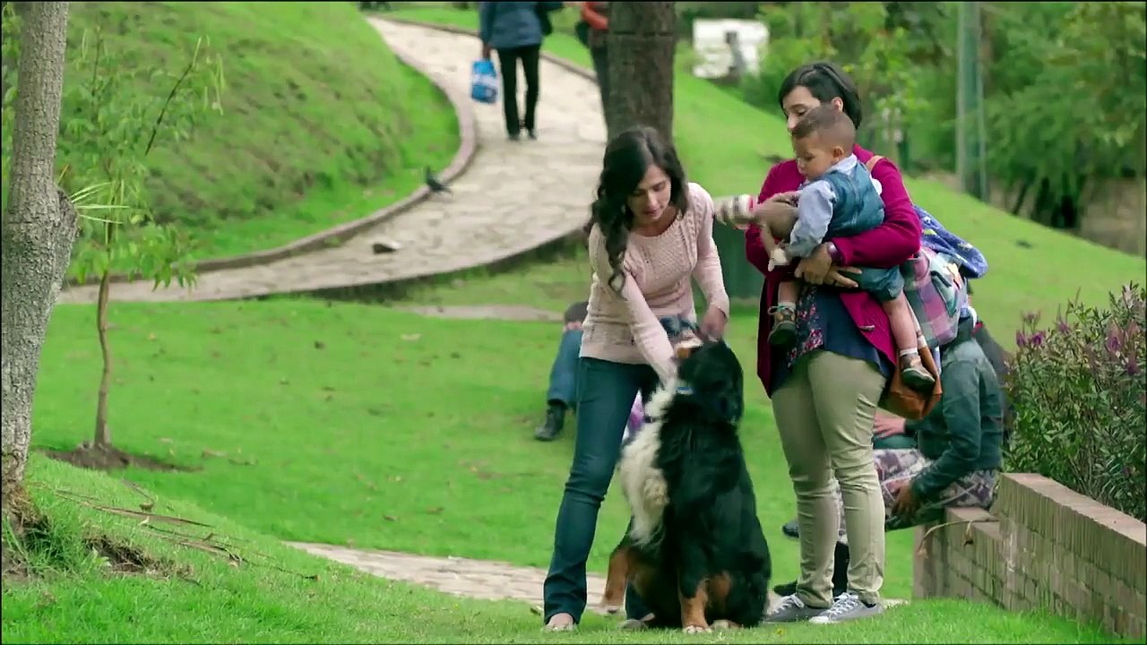13. Javier y Julia pasan de amigos a novios
