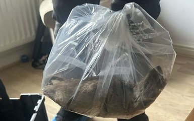 Giant 22-inch rat found in Yorkshire home - and councillor warns they are everywhere in the UK