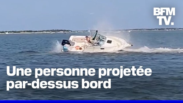 États-Unis: une baleine meurt après avoir percuté un bateau au large du New Jersey