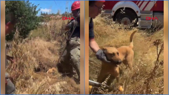 Silivri'de kuyuda 2 gündür mahsur kalan köpeği itfaiye kurtardı