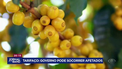 Tarifaço: governo pode socorrer setores afetados