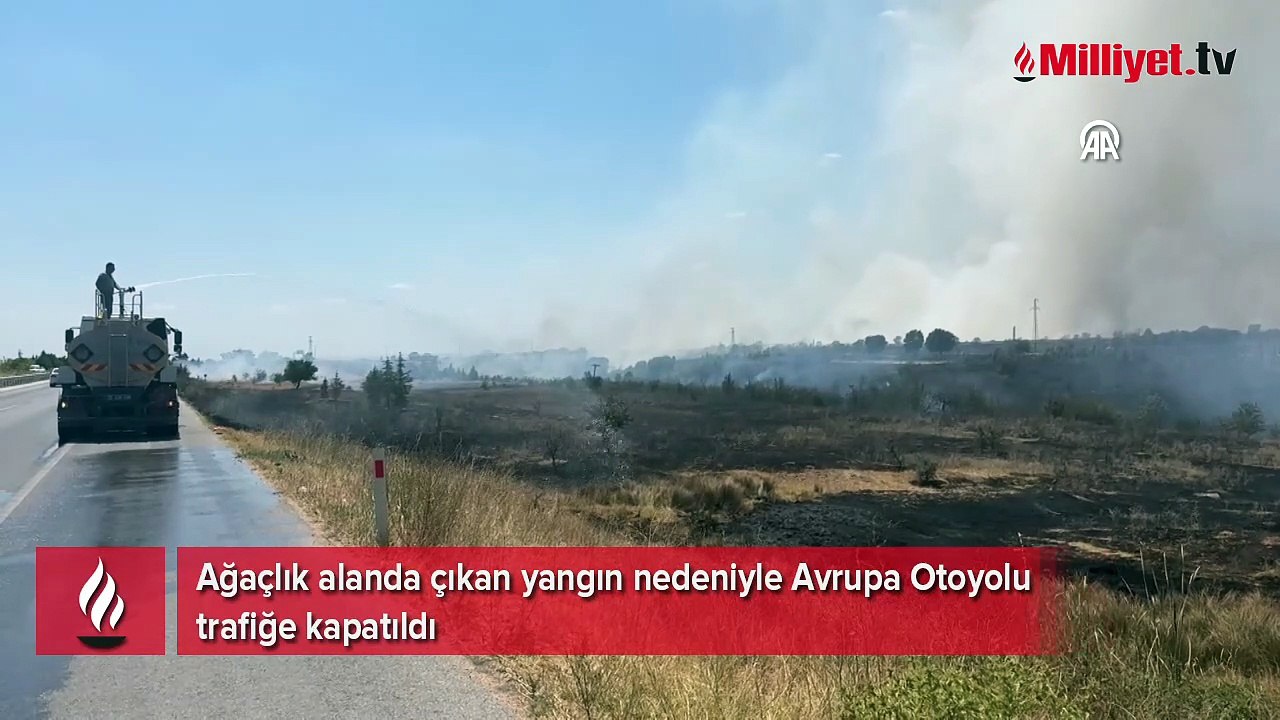 Kırklareli’nde ağaçlık alanda yangın! Avrupa Otoyolu trafiğe kapandı