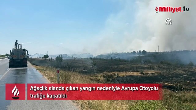 Kırklareli’nde ağaçlık alanda yangın! Avrupa Otoyolu trafiğe kapandı