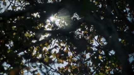 yung kai - blue (official music video)