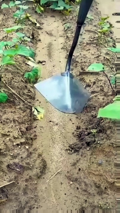 Best technically video
