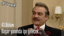 Başar yanımda işe gelecek...-Tatlı Hayat 43. Bölüm