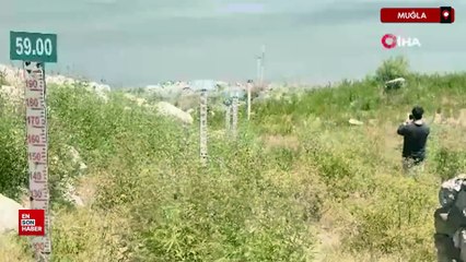 Bodrum’da su alarmı: Barajlar kritik seviyeye geriledi